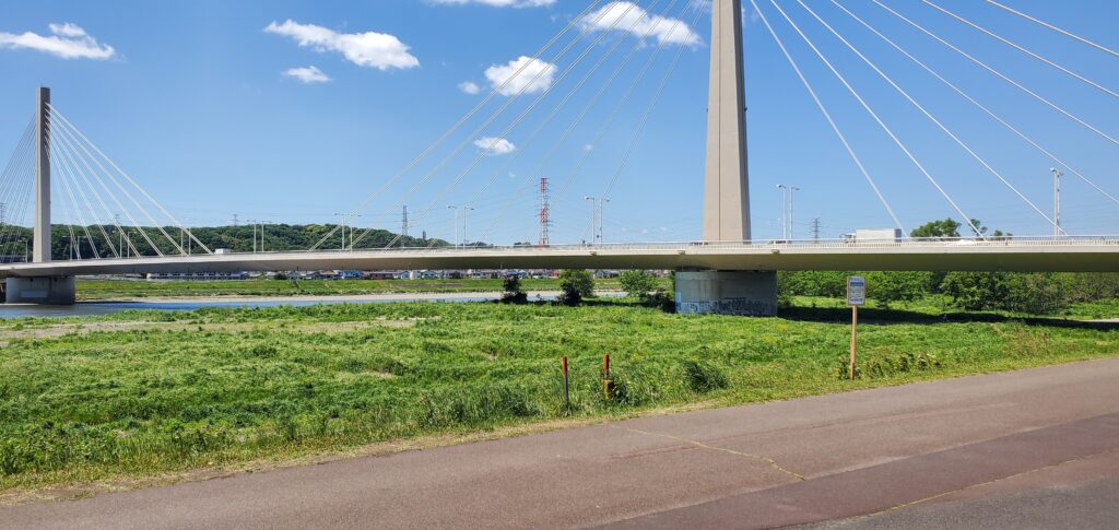 府中四谷橋付近河川敷