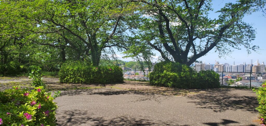 いろは坂桜公園