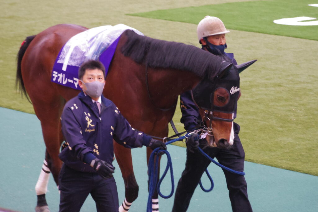テオレーマ