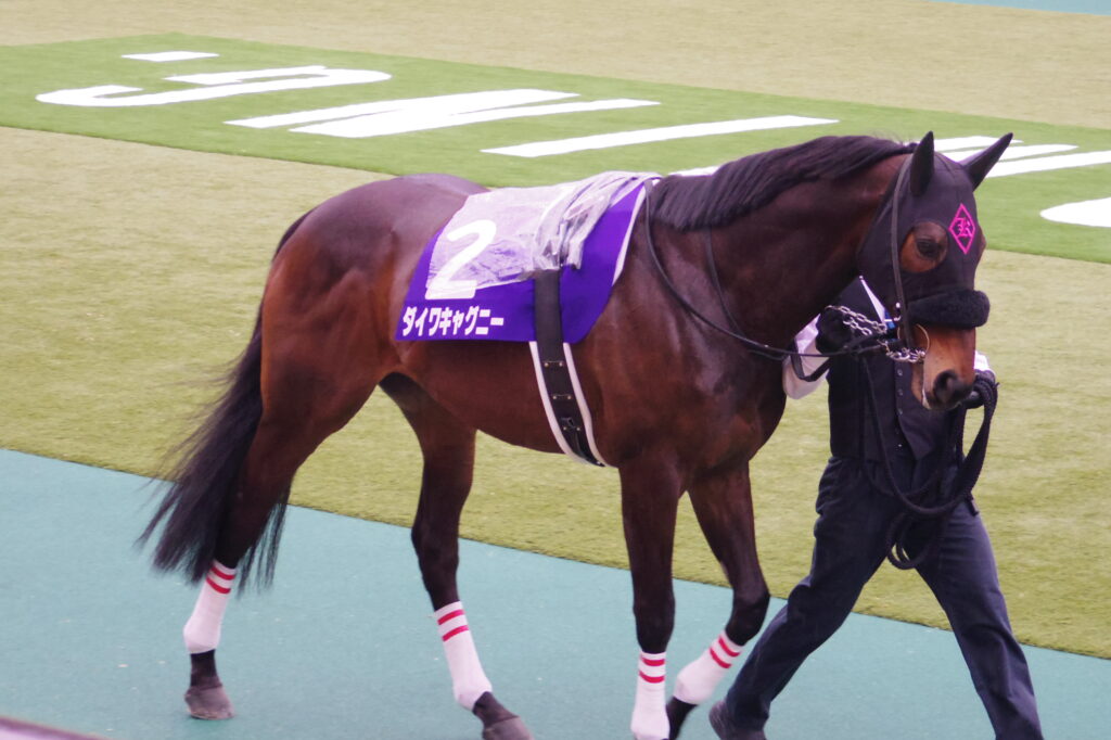 ダイワキャグニー