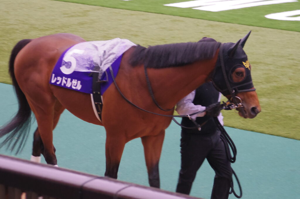 レッドルゼル