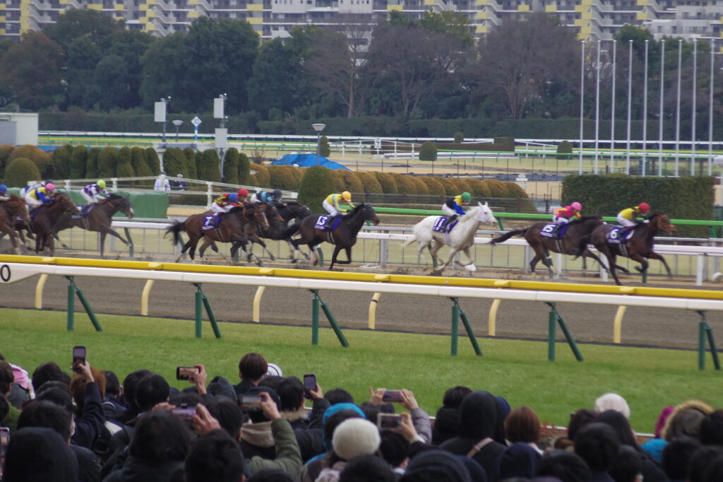レース中