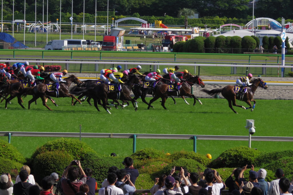 芝コース開放は12R終了後