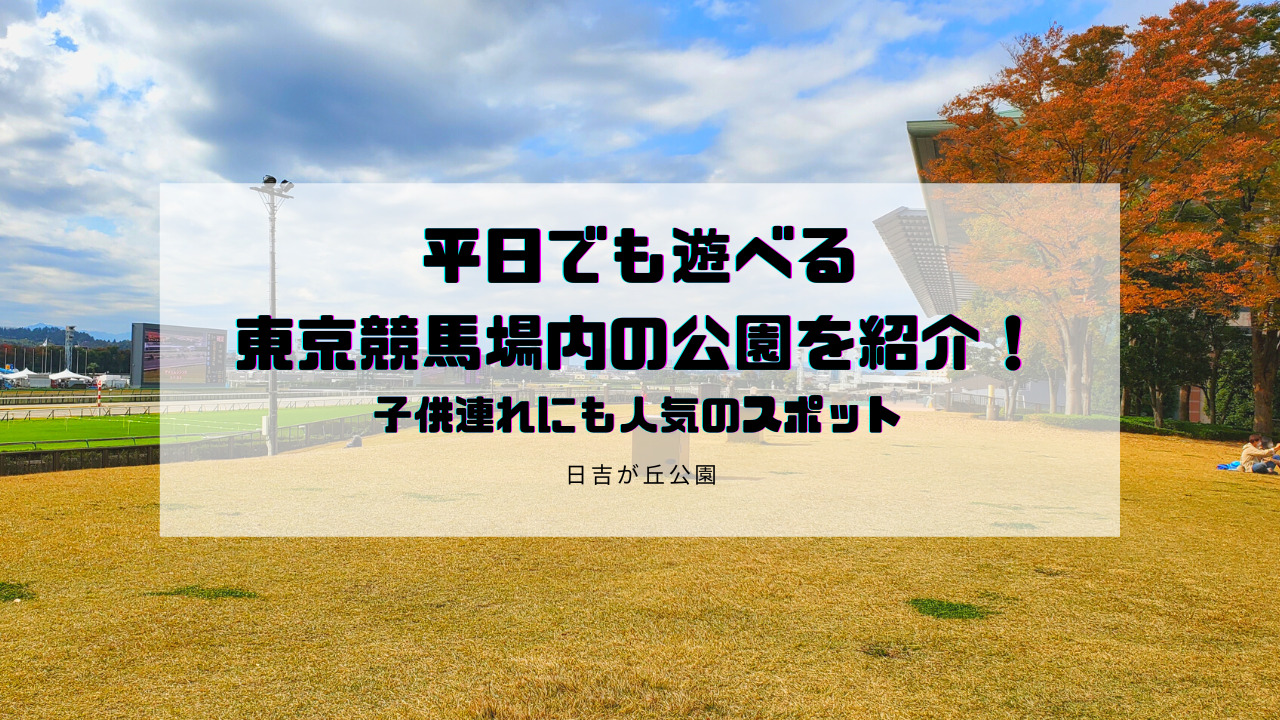 府中市 平日でも遊べる東京競馬場内の公園を紹介 子供連れにも人気のスポット いんきゃぶ